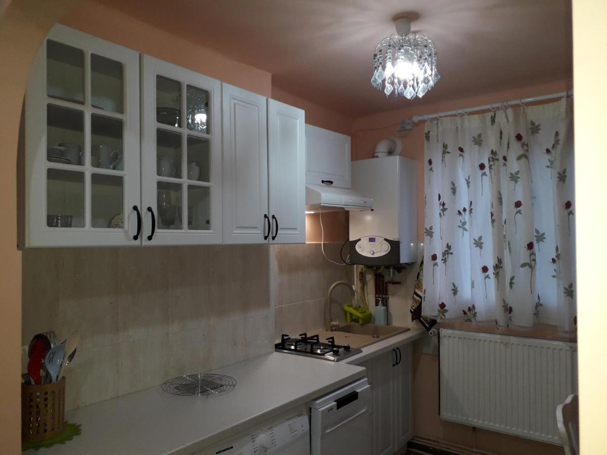 Cozy, Central 1-Bedroom Apartment In Timisoara, Romania Exterior photo
