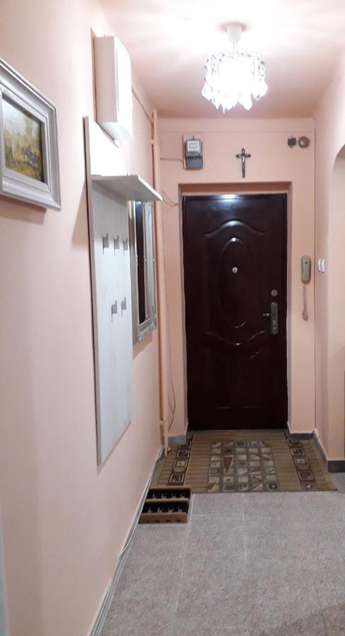Cozy, Central 1-Bedroom Apartment In Timisoara, Romania Exterior photo